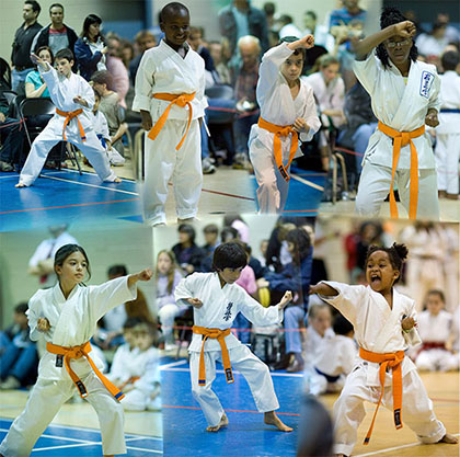 Cimac Two White Stripe Brown Karate Belt 1st Kyu Martial Arts Judo 